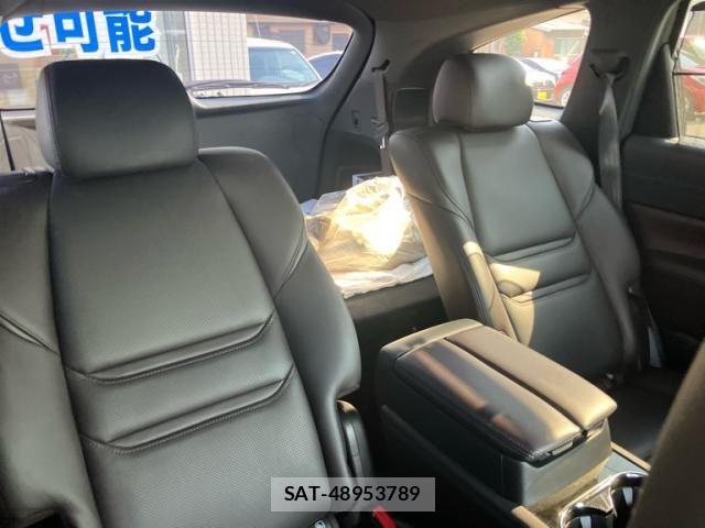 Mazda CX-8 2019-08 7217086-8