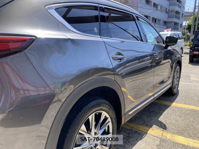 Mazda CX-8 2019-06 7217083-6