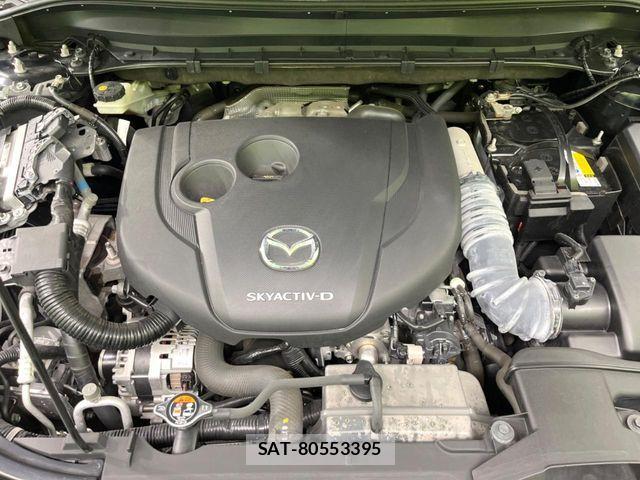 Mazda CX-8 2021-07 7217096-17