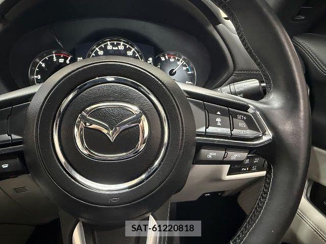 Mazda CX-8 2019-09 7217089-11