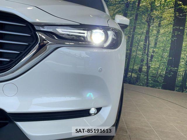 Mazda CX-8 2019-06 7217085-12
