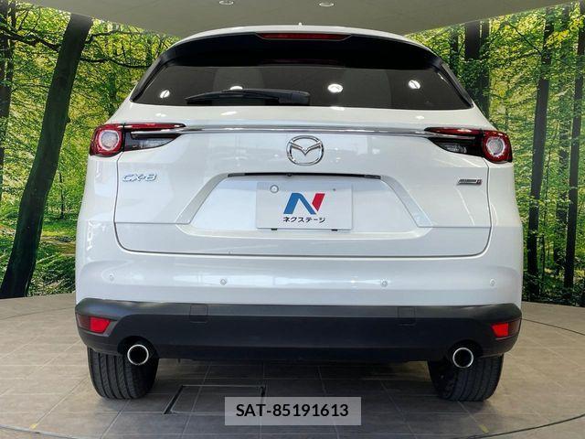 Mazda CX-8 2019-06 7217085-15