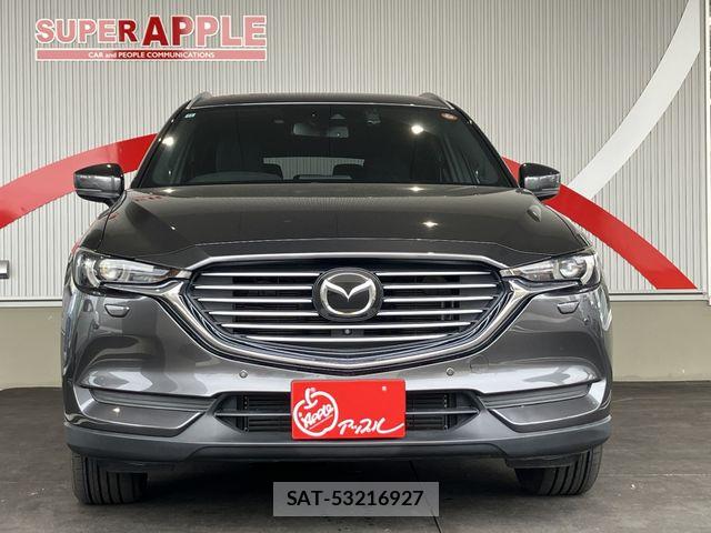 Mazda CX-8 2018-12 7250417-3