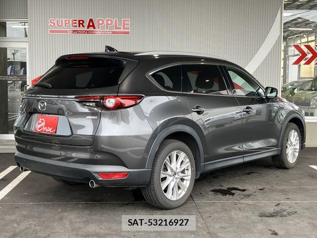 Mazda CX-8 2018-12 7250417-7