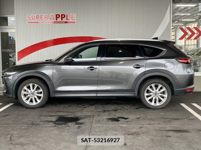 Mazda CX-8 2018-12 7250417-8