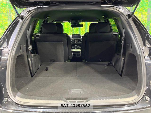 Mazda CX-8 2019-09 7250419-10