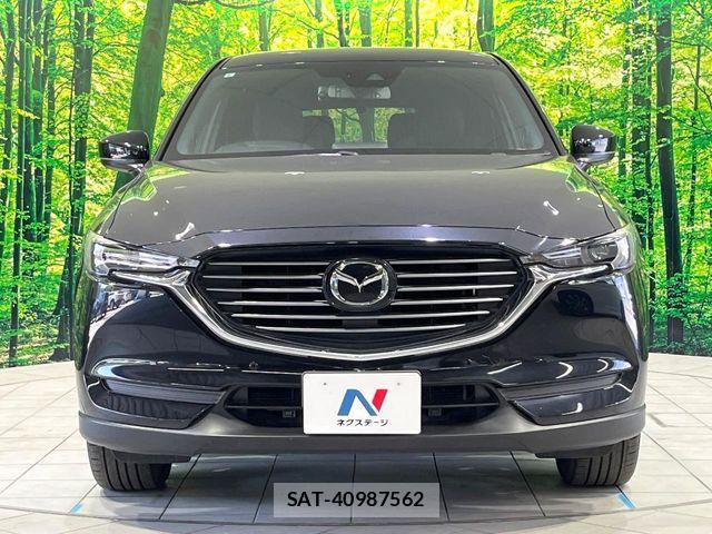 Mazda CX-8 2019-09 7250419-14