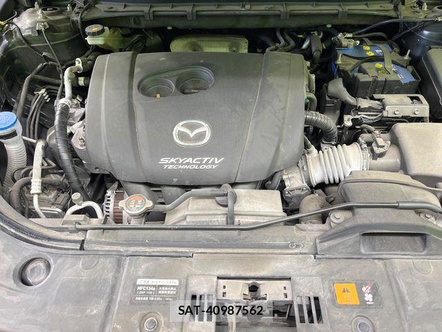 Mazda CX-8 2019-09 7250419-18