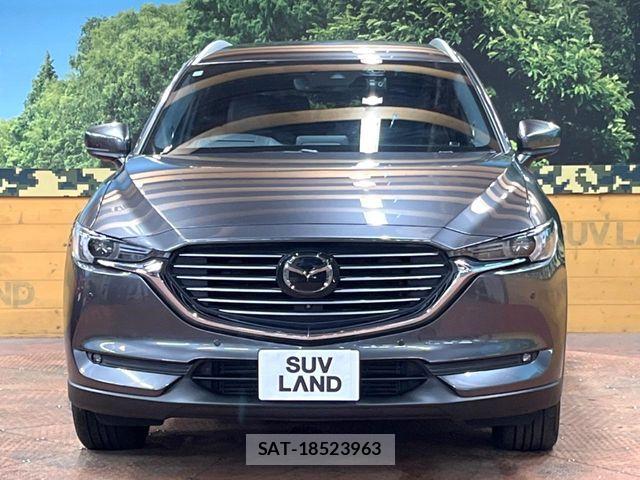 Mazda CX-8 2018-12 7250420-14