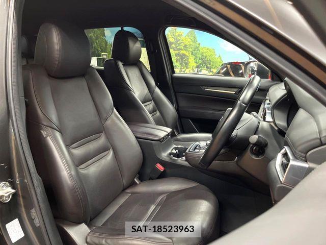 Mazda CX-8 2018-12 7250420-7