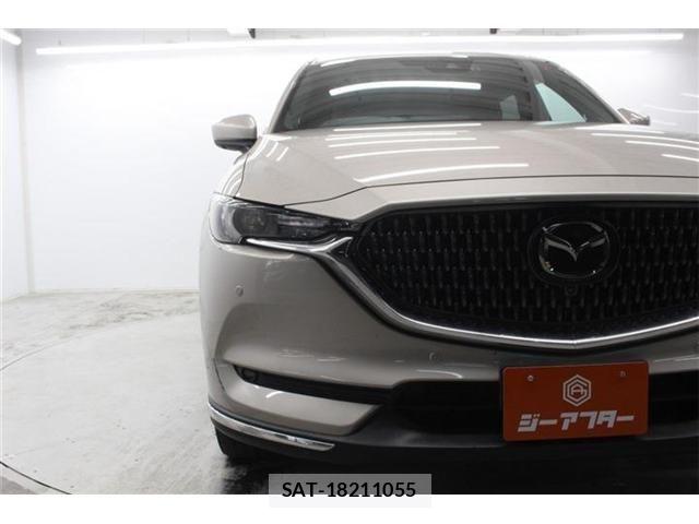Mazda CX-8 2021-04 7326569-10