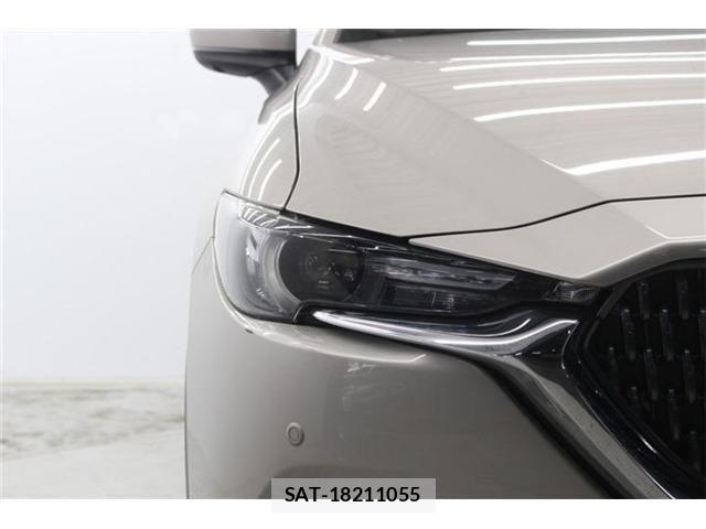 Mazda CX-8 2021-04 7326569-11