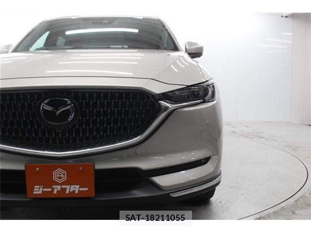 Mazda CX-8 2021-04 7326569-13