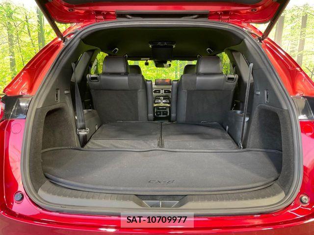 Mazda CX-8 2021-04 7326565-10