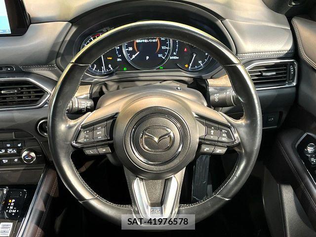 Mazda CX-8 2019-09 7326567-7