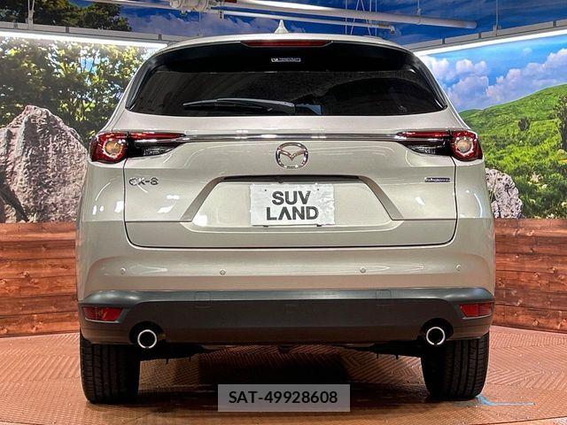 Mazda CX-8 2021-03 7326561-15