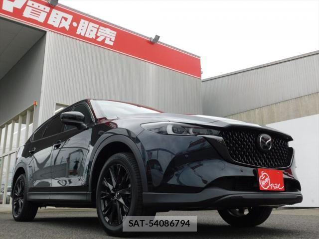 Mazda CX-8 2023-07 7357446-7