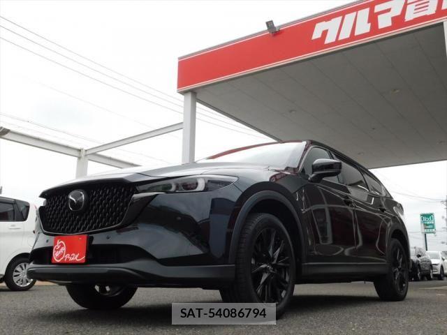 Mazda CX-8 2023-07 7357446-8