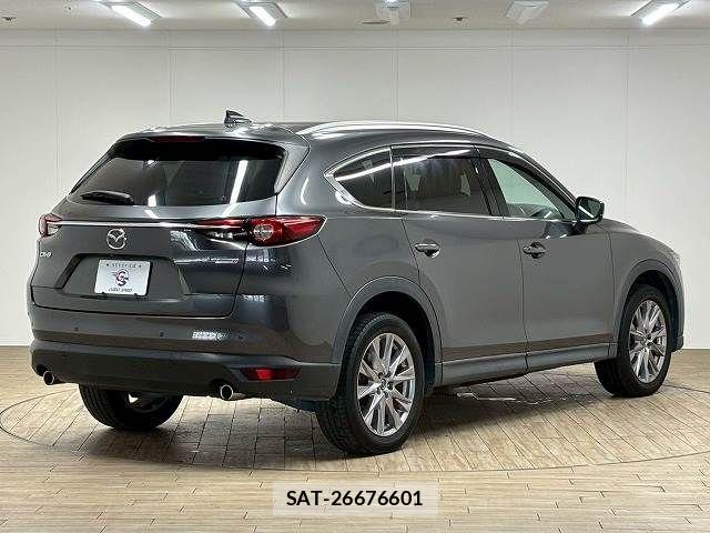 Mazda CX-8 2019-01 7357454-15