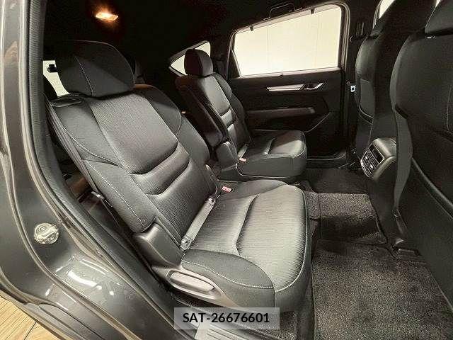 Mazda CX-8 2019-01 7357454-5