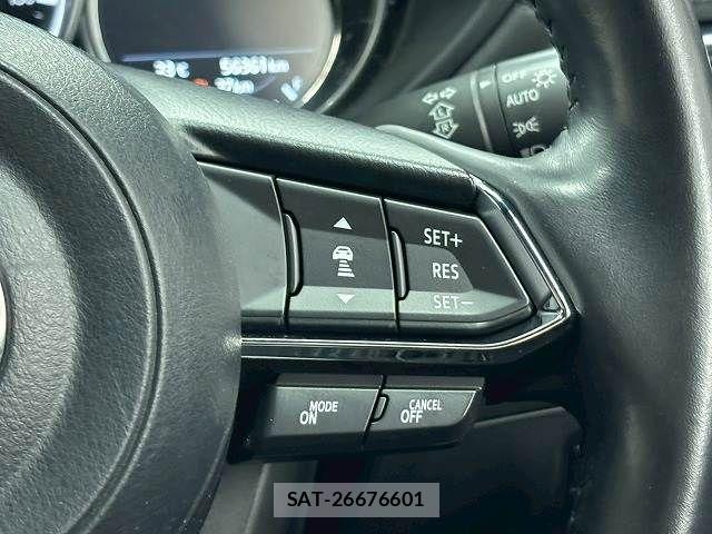 Mazda CX-8 2019-01 7357454-6