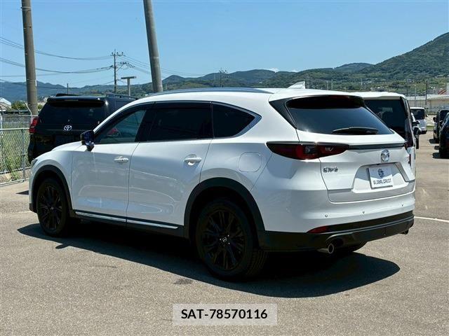 Mazda CX-8 2023-03 7357447-7