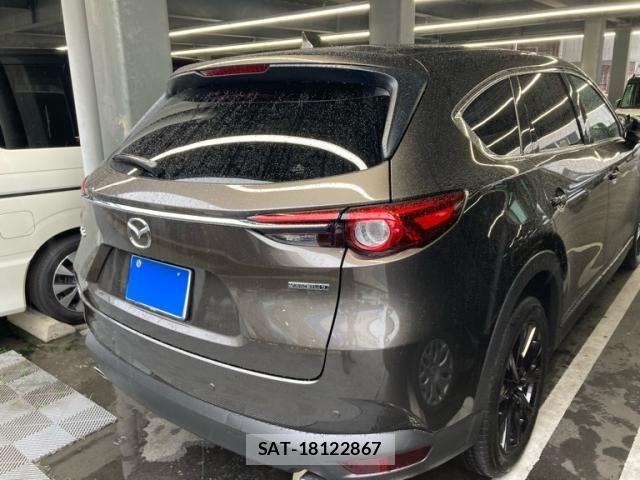 Mazda CX-8 2021-10 7357468-4