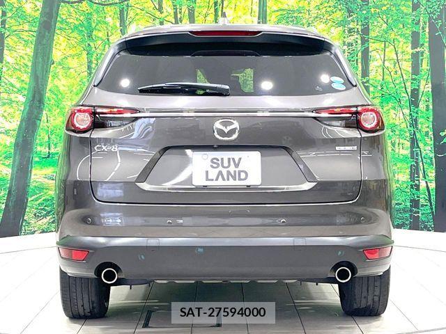 Mazda CX-8 2020-08 7391819-15