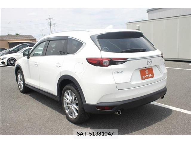 Mazda CX-8 2018-02 7391821-9