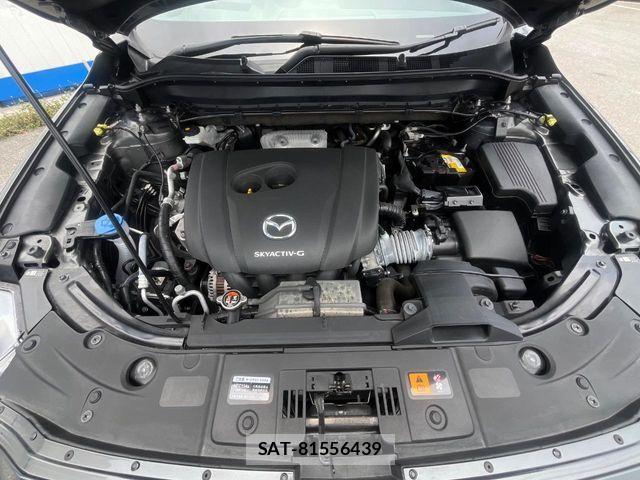 Mazda CX-8 2023-09 7391813-19
