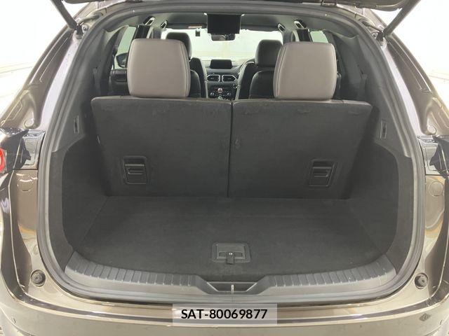 Mazda CX-8 2019-09 7453829-10