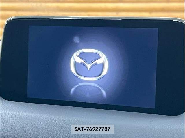 Mazda CX-8 2018-03 7500169-3