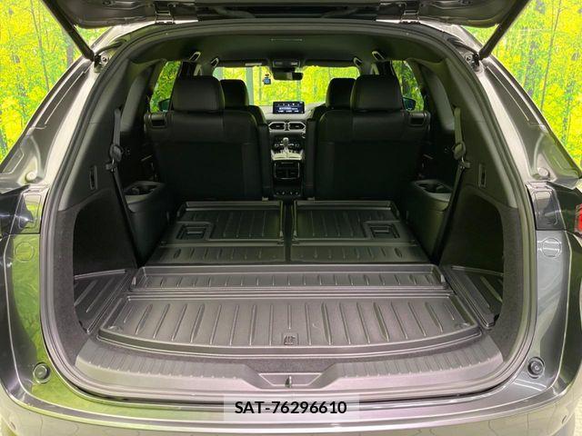 Mazda CX-8 2021-07 7500164-10