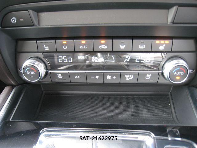 Mazda CX-8 2020-05 7500166-7