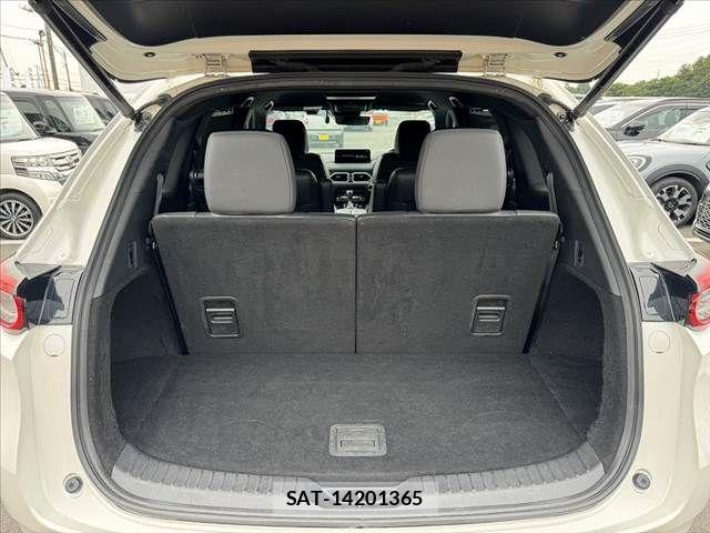 Mazda CX-8 2022-02 7508483-18