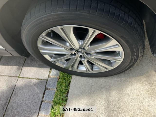 Mazda CX-8 2021-03 7500171-4