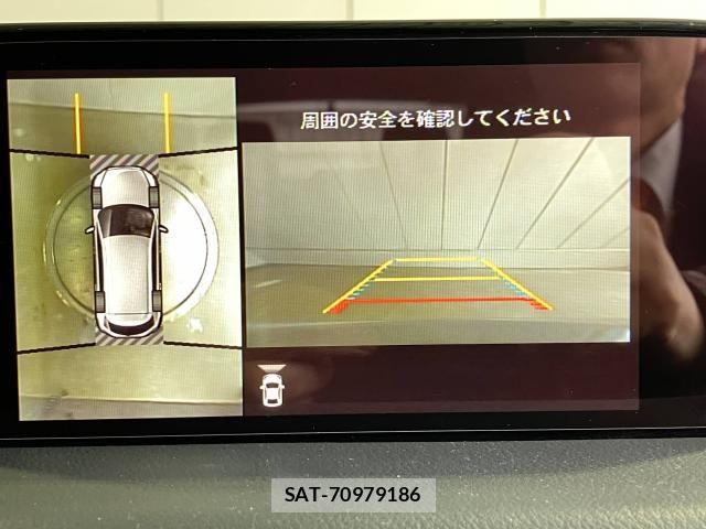 Mazda CX-8 2018-02 7616038-8