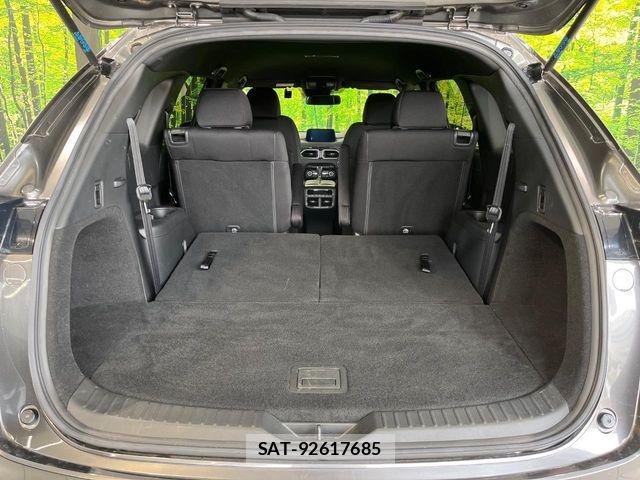 Mazda CX-8 2018-05 7616045-10