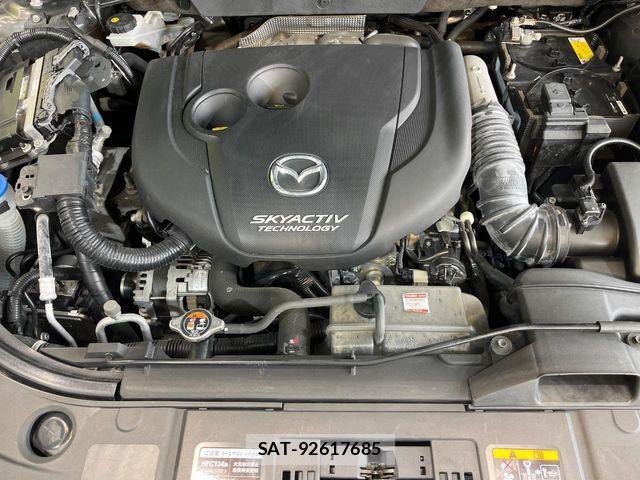 Mazda CX-8 2018-05 7616045-17