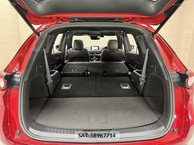 Mazda CX-8 2020-01 7616048-6