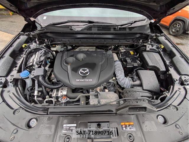 Mazda CX-8 2021-05 7616042-24
