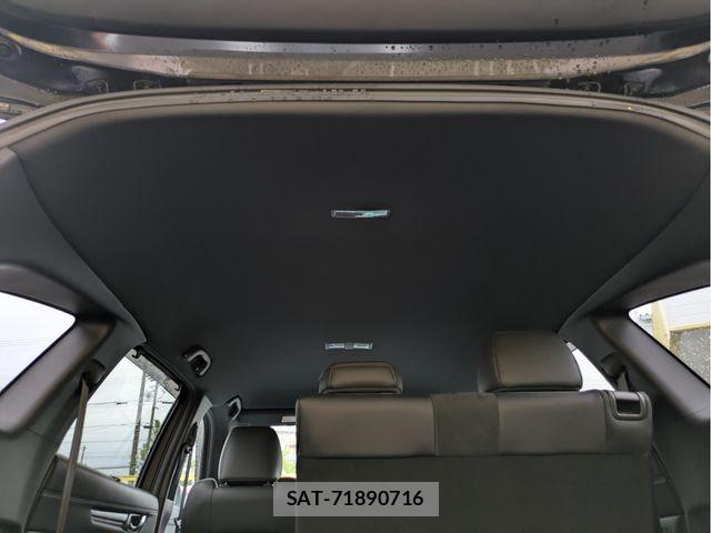 Mazda CX-8 2021-05 7616042-6