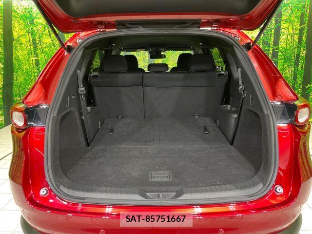 Mazda CX-8 2018-03 7616047-10