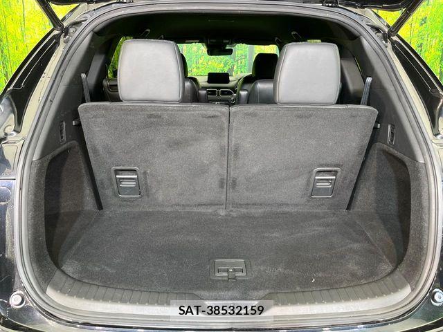 Mazda CX-8 2020-05 7616041-9