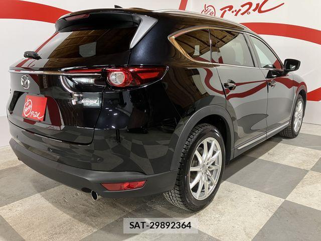 Mazda CX-8 2019-07 7876028-2