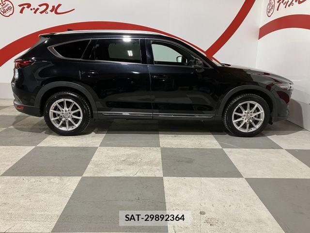 Mazda CX-8 2019-07 7876028-3