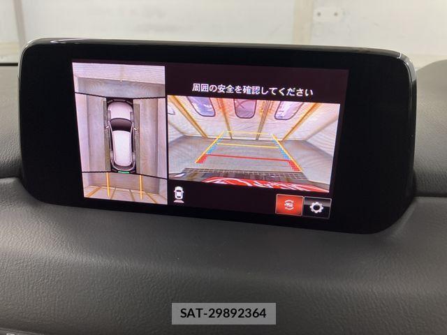 Mazda CX-8 2019-07 7876028-5