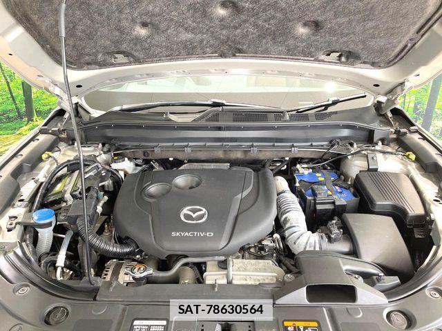 Mazda CX-8 2021-04 7876023-17