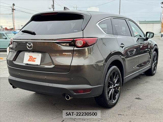 Mazda CX-8 2021-04 7876030-14