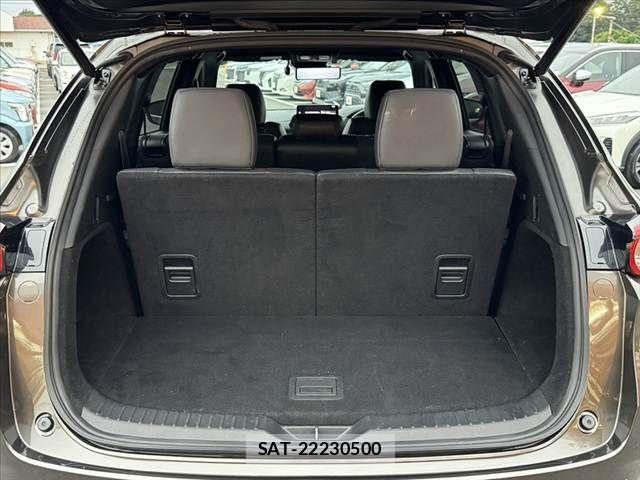Mazda CX-8 2021-04 7876030-18